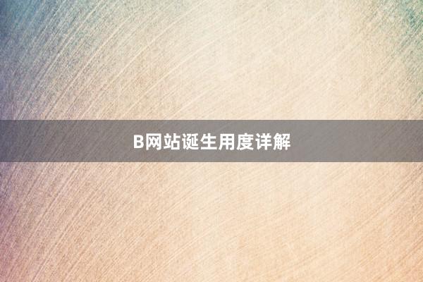 B网站诞生用度详解